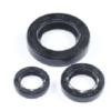 VEDAMOTORS_VE05093000005.png KIT RETÉNES MOTOR