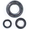 VEDAMOTORS_VE05093000008.png KIT RETÉNES MOTOR